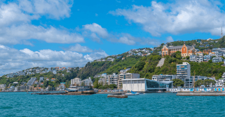 Wellington moves faster on open-loop payments with a partner-led overlay approach